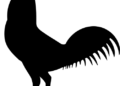 wpc15