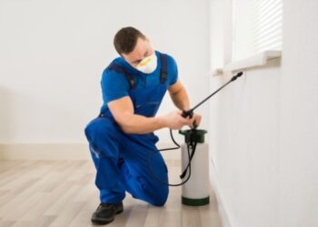 pest control Sydney