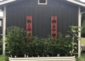 How Vegetable Raised Beds Gardening Can Be Easy And Also Fun