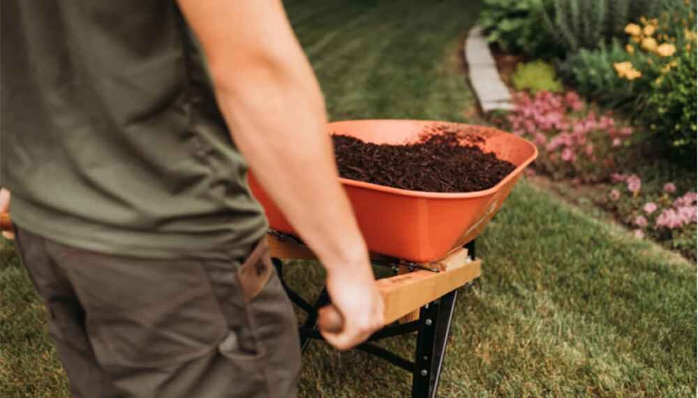 Year-Round Garden Maintenance Every Gardener Should Know