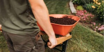Year-Round Garden Maintenance Every Gardener Should Know