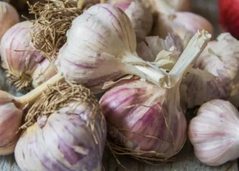 Is Purple Garlic Healthier Than White?