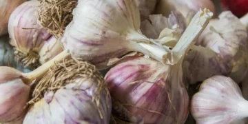 Is Purple Garlic Healthier Than White?