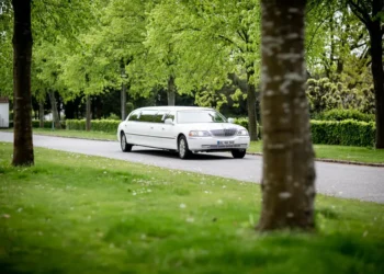 8 Easy Ways To Cut Expenses On Limo Rentals