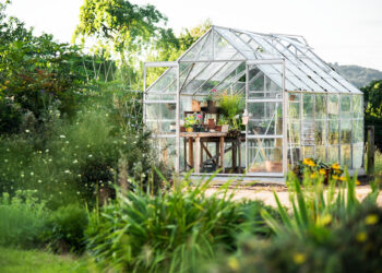 What is the Best Shade Cloth for Your Greenhouse
