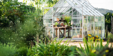 What is the Best Shade Cloth for Your Greenhouse